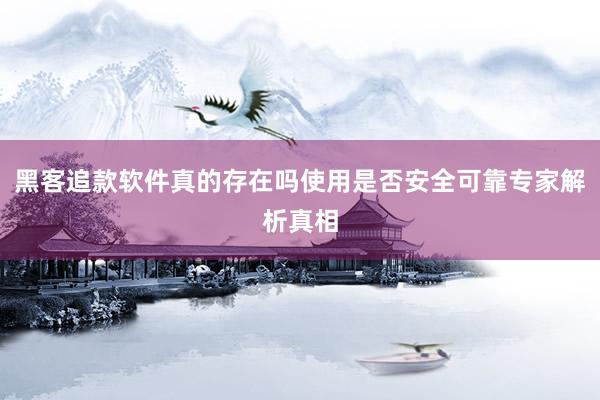 黑客追款软件真的存在吗使用是否安全可靠专家解析真相